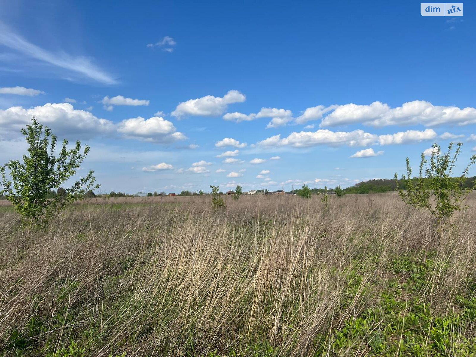Земельна ділянка сільськогосподарського призначення в Бохониках, площа 8 соток фото 1 Земельна ділянка сільськогосподарського призначення в Бохониках, площа 8 соток фото 1