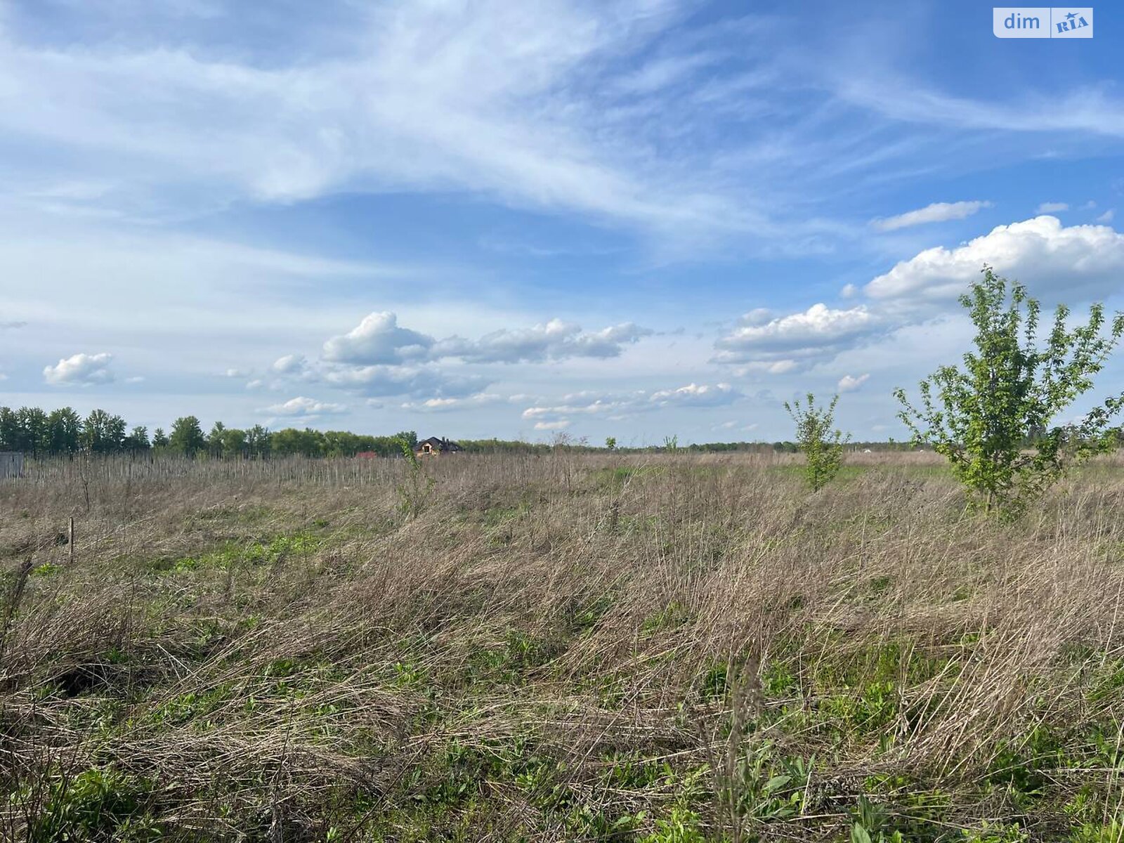 Земельна ділянка сільськогосподарського призначення в Бохониках, площа 8 соток фото 1 Земельна ділянка сільськогосподарського призначення в Бохониках, площа 8 соток фото 1