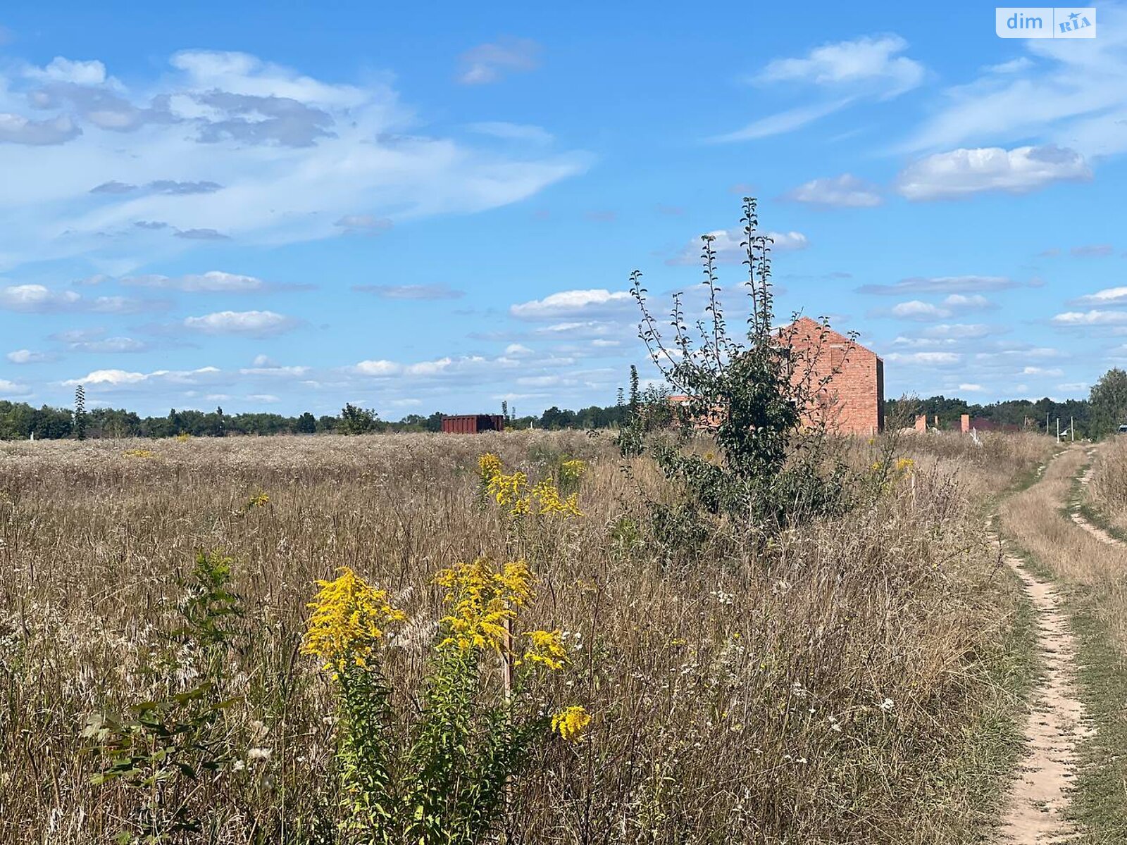 Земельна ділянка сільськогосподарського призначення в Бохониках, площа 8 соток фото 1 Земельна ділянка сільськогосподарського призначення в Бохониках, площа 8 соток фото 1