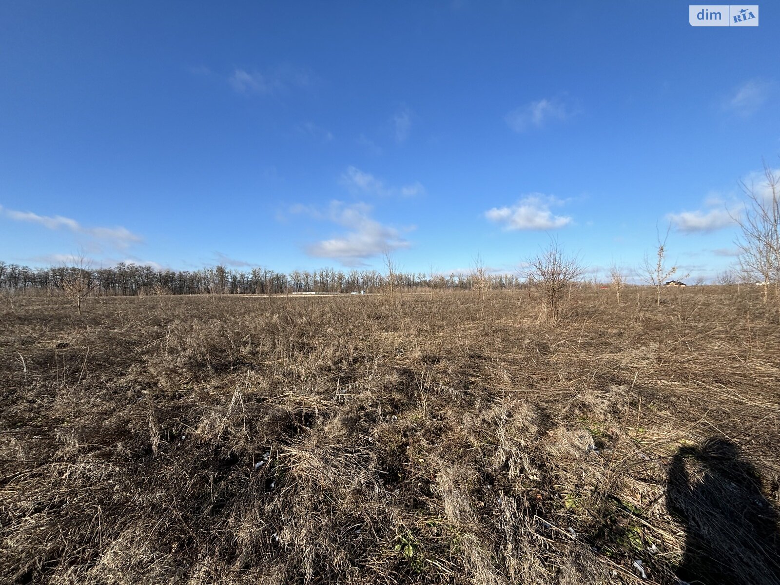 Земельна ділянка сільськогосподарського призначення в Бохониках, площа 8 соток фото 1