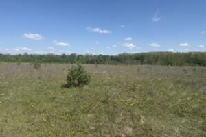 Земельна ділянка сільськогосподарського призначення в Бохониках, площа 10 соток фото 2