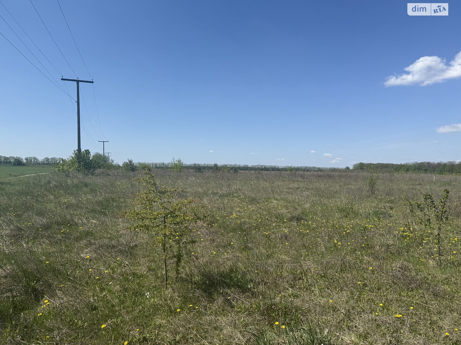 Земельна ділянка сільськогосподарського призначення в Бохониках, площа 10 соток фото 1 Земельна ділянка сільськогосподарського призначення в Бохониках, площа 10 соток фото 1