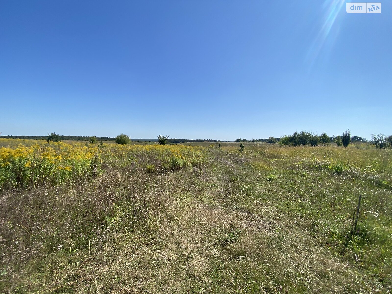 Земельный участок сельскохозяйственного назначения в Бохониках, площадь 10 соток фото 1 Земельный участок сельскохозяйственного назначения в Бохониках, площадь 10 соток фото 1