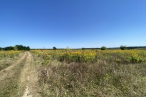 Земельный участок сельскохозяйственного назначения в Бохониках, площадь 10 соток фото 2 Земельный участок сельскохозяйственного назначения в Бохониках, площадь 10 соток фото 2
