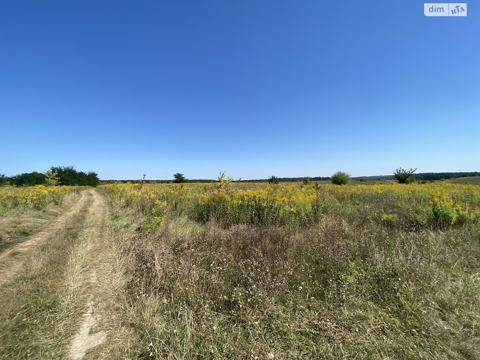 Земельный участок сельскохозяйственного назначения в Бохониках, площадь 10 соток фото 1 Земельный участок сельскохозяйственного назначения в Бохониках, площадь 10 соток фото 1