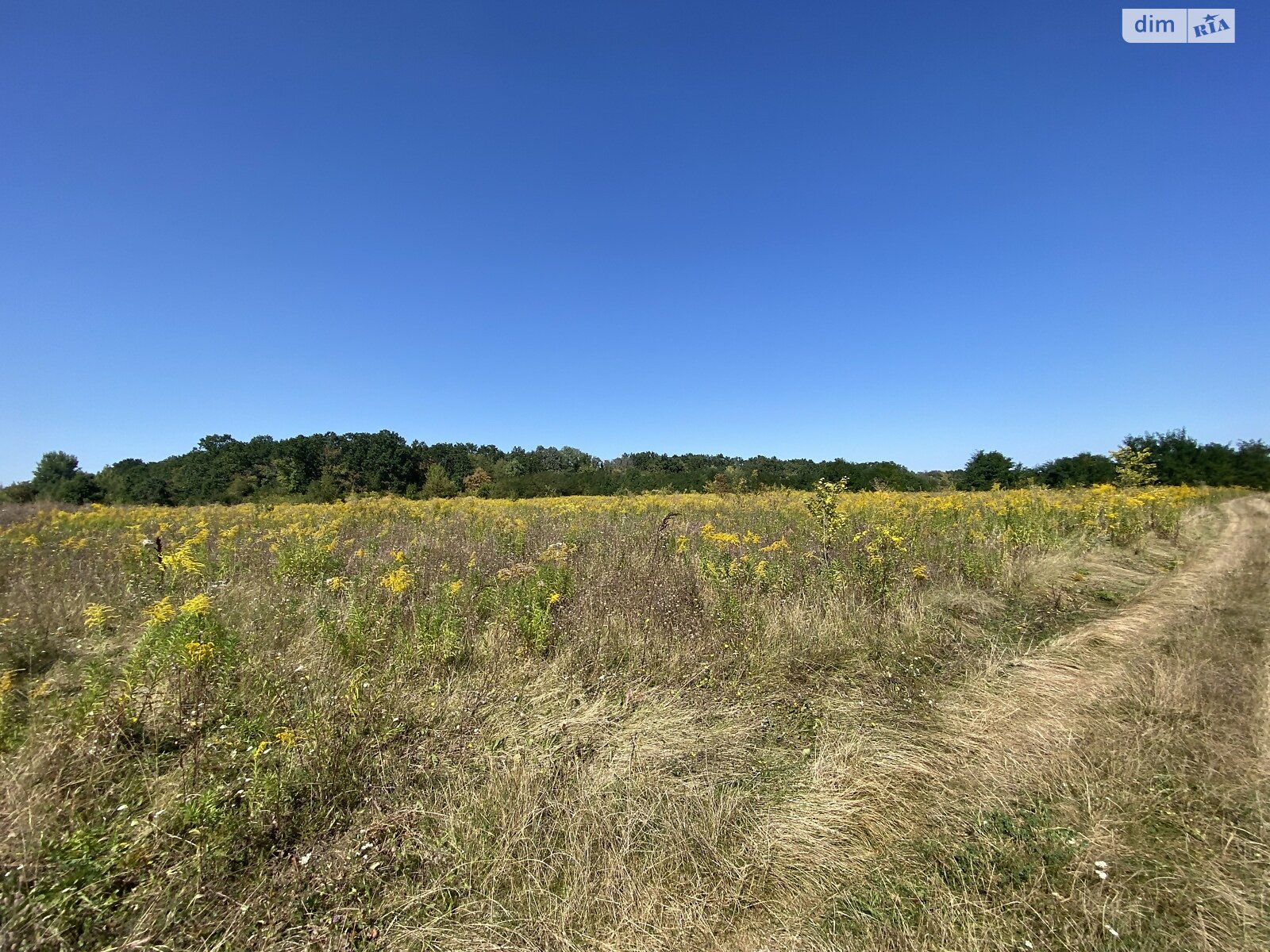 Земельный участок сельскохозяйственного назначения в Бохониках, площадь 10 соток фото 1 Земельный участок сельскохозяйственного назначения в Бохониках, площадь 10 соток фото 1