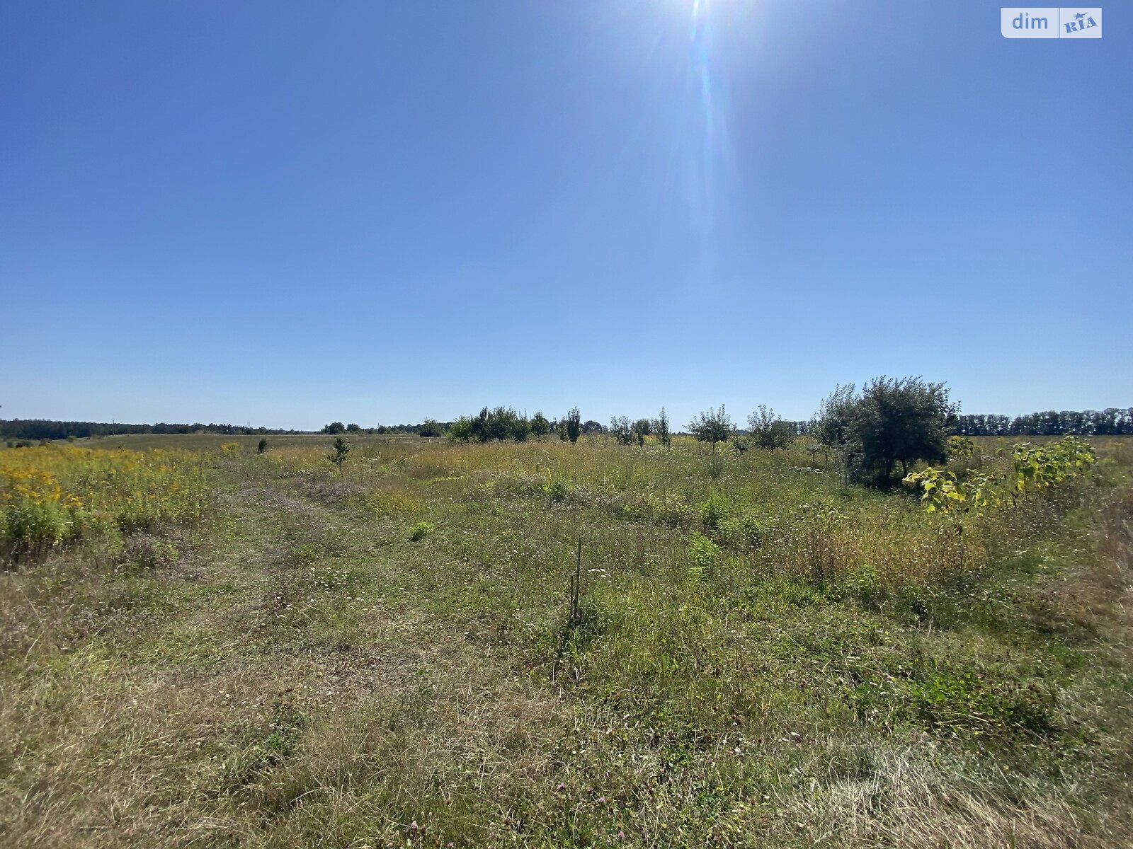 Земельный участок сельскохозяйственного назначения в Бохониках, площадь 10 соток фото 1 Земельный участок сельскохозяйственного назначения в Бохониках, площадь 10 соток фото 1