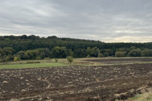 Земельна ділянка сільськогосподарського призначення в Бохониках, площа 12 соток фото 2