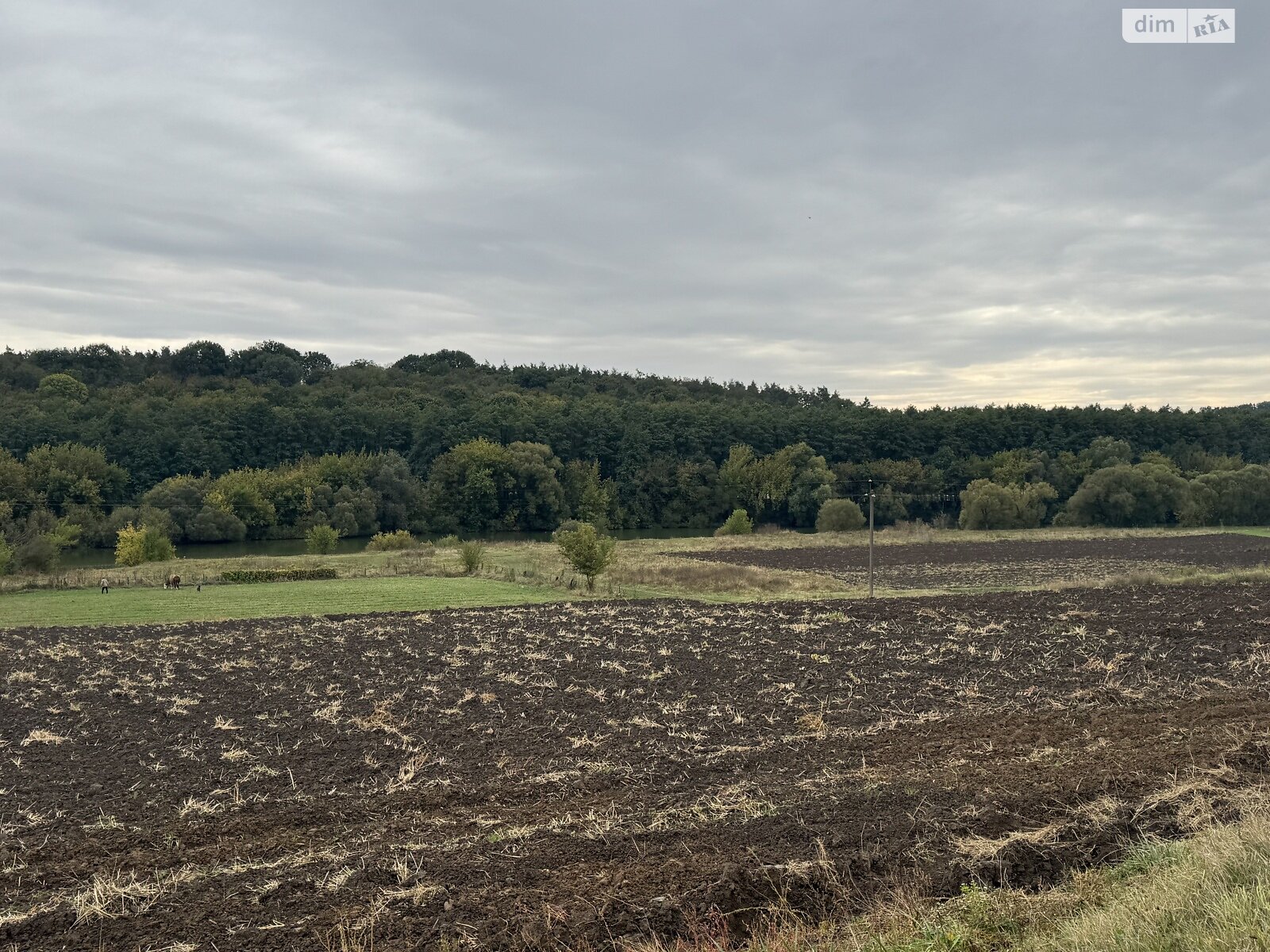 Земельна ділянка сільськогосподарського призначення в Бохониках, площа 12 соток фото 1