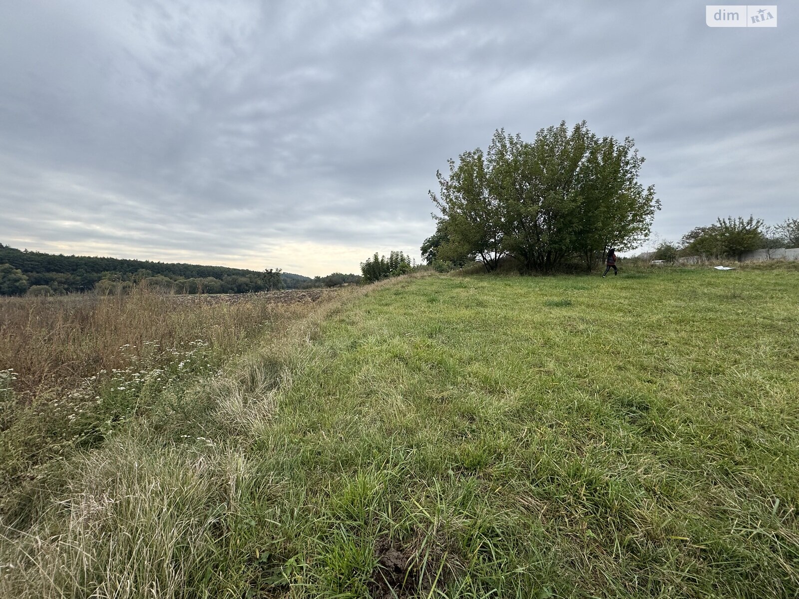 Земельна ділянка сільськогосподарського призначення в Бохониках, площа 12 соток фото 1