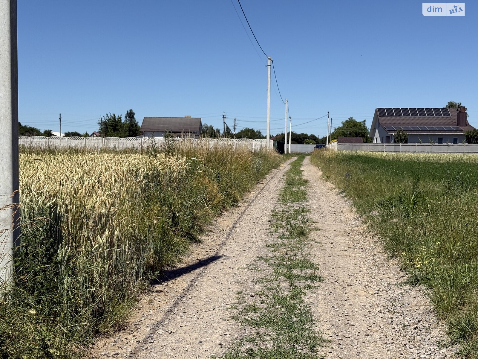 Земельный участок сельскохозяйственного назначения в Бохониках, площадь 20 соток фото 1 Земельный участок сельскохозяйственного назначения в Бохониках, площадь 20 соток фото 1