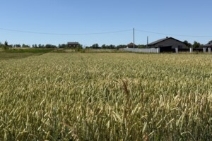 Земельный участок сельскохозяйственного назначения в Бохониках, площадь 20 соток фото 2