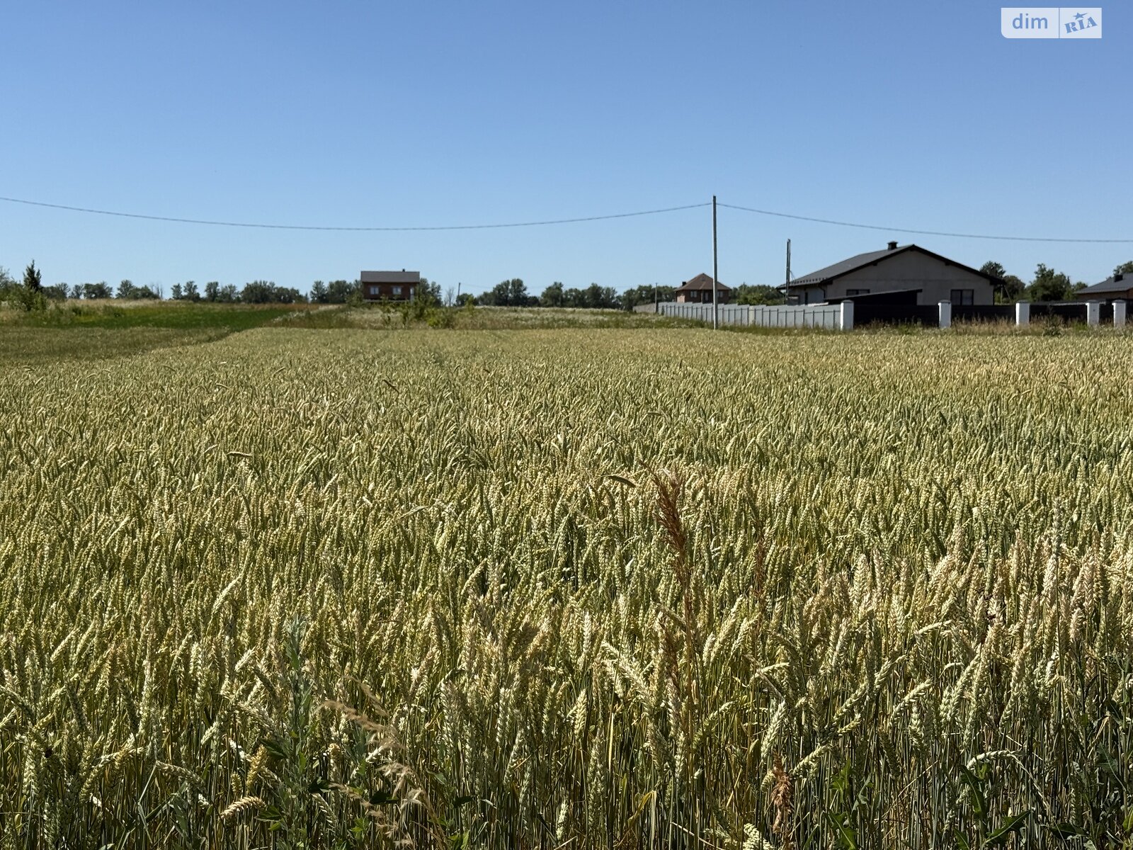 Земельный участок сельскохозяйственного назначения в Бохониках, площадь 20 соток фото 1 Земельный участок сельскохозяйственного назначения в Бохониках, площадь 20 соток фото 1