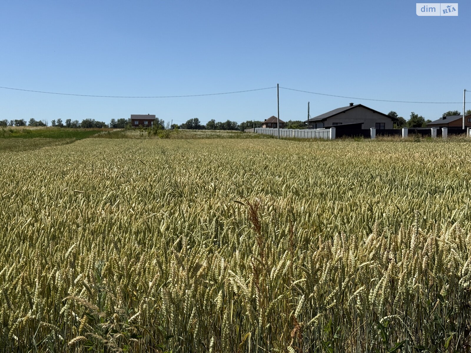 Земельный участок сельскохозяйственного назначения в Бохониках, площадь 20 соток фото 1 Земельный участок сельскохозяйственного назначения в Бохониках, площадь 20 соток фото 1