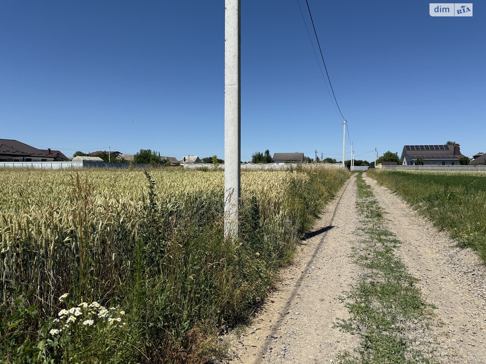Земельный участок сельскохозяйственного назначения в Бохониках, площадь 20 соток фото 1 Земельный участок сельскохозяйственного назначения в Бохониках, площадь 20 соток фото 1