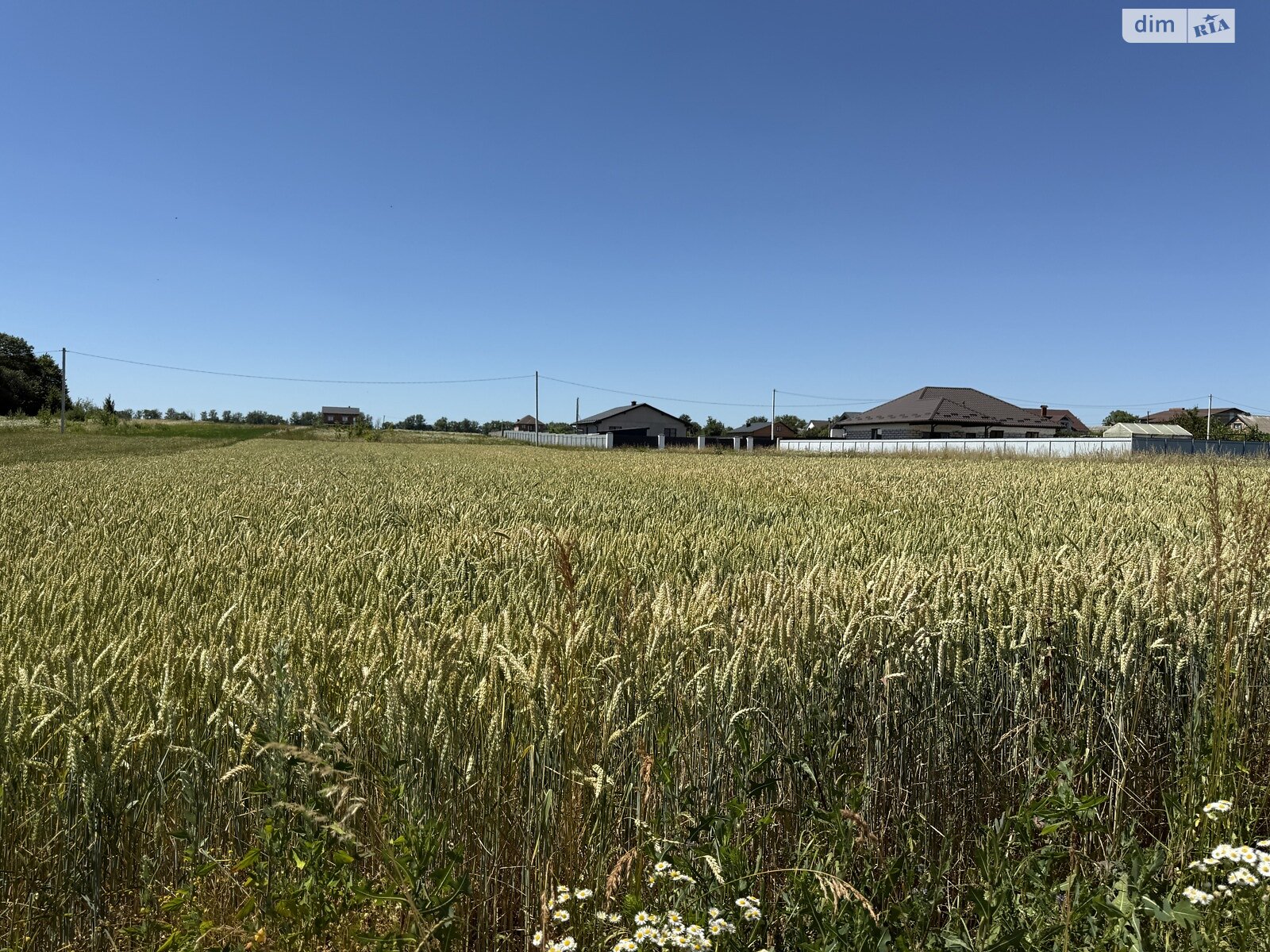 Земельный участок сельскохозяйственного назначения в Бохониках, площадь 20 соток фото 1 Земельный участок сельскохозяйственного назначения в Бохониках, площадь 20 соток фото 1