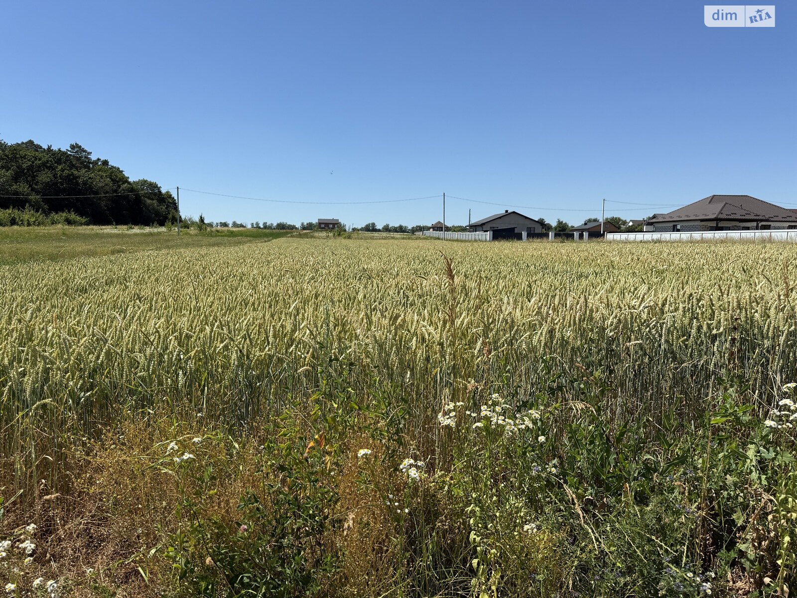 Земельный участок сельскохозяйственного назначения в Бохониках, площадь 20 соток фото 1 Земельный участок сельскохозяйственного назначения в Бохониках, площадь 20 соток фото 1