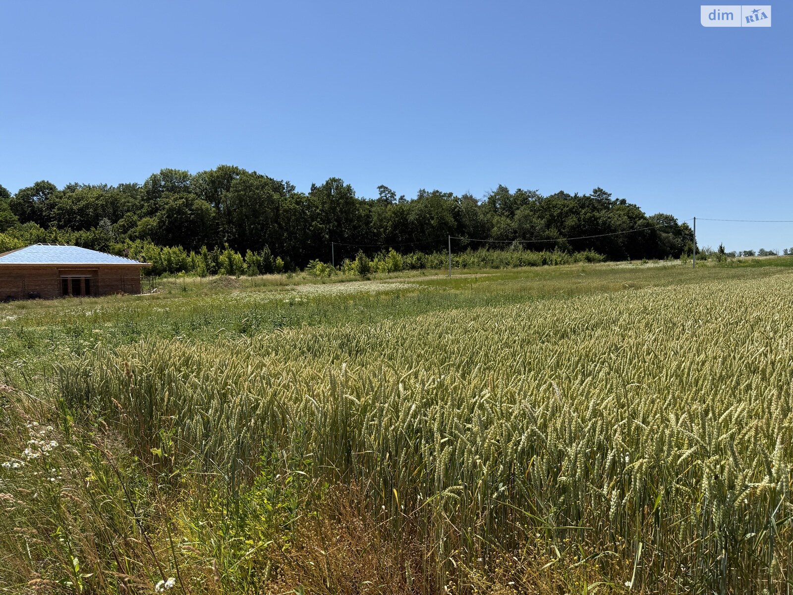 Земельный участок сельскохозяйственного назначения в Бохониках, площадь 20 соток фото 1 Земельный участок сельскохозяйственного назначения в Бохониках, площадь 20 соток фото 1