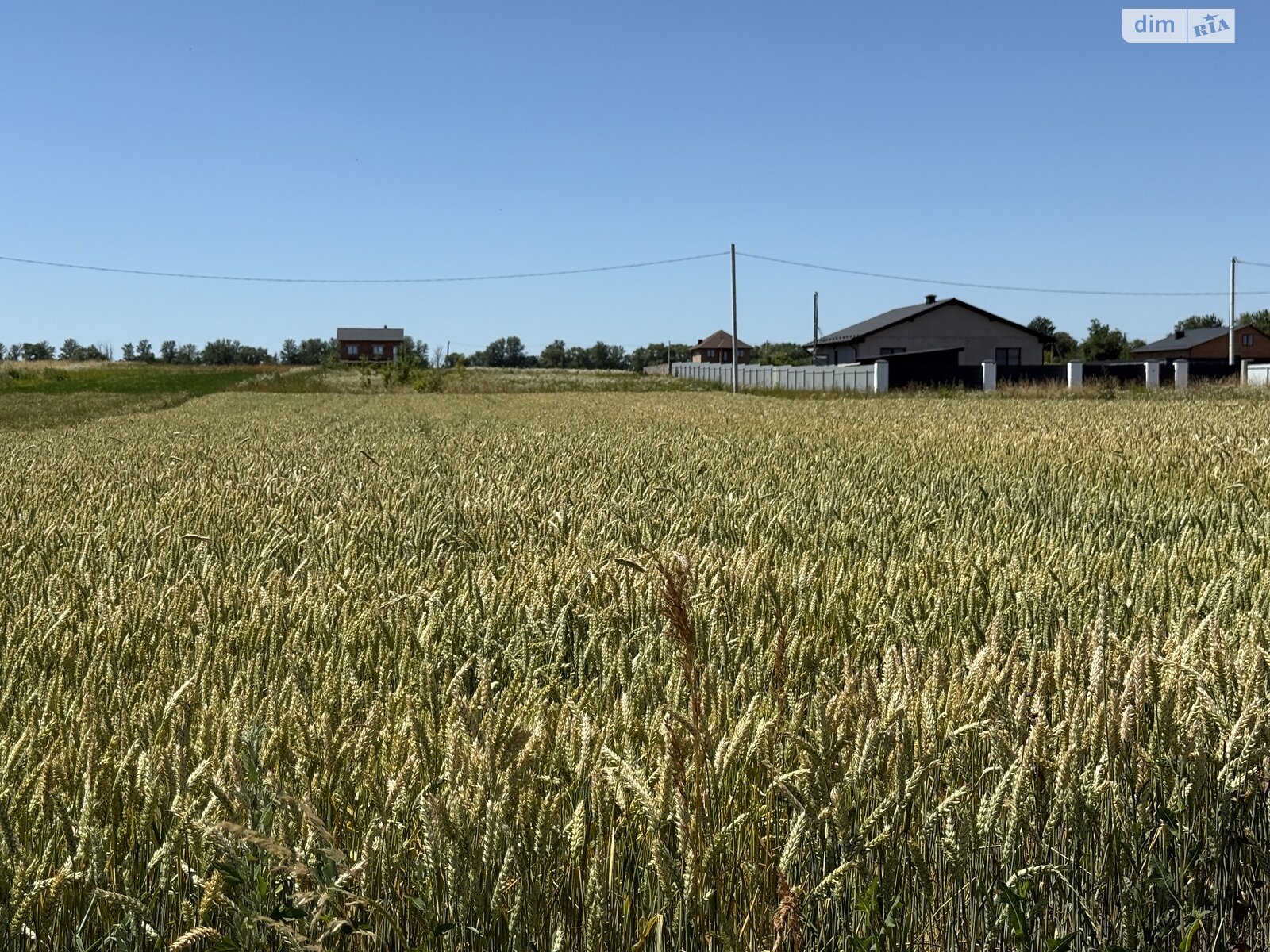 Земельный участок сельскохозяйственного назначения в Бохониках, площадь 20 соток фото 1 Земельный участок сельскохозяйственного назначения в Бохониках, площадь 20 соток фото 1