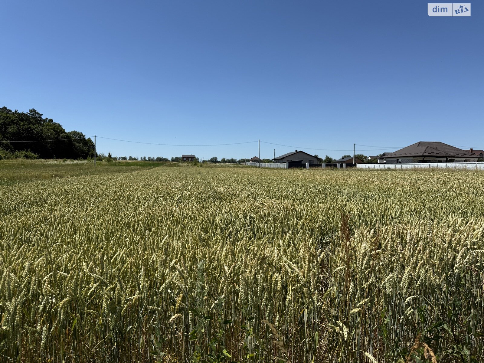 Земельный участок сельскохозяйственного назначения в Бохониках, площадь 20 соток фото 1 Земельный участок сельскохозяйственного назначения в Бохониках, площадь 20 соток фото 1