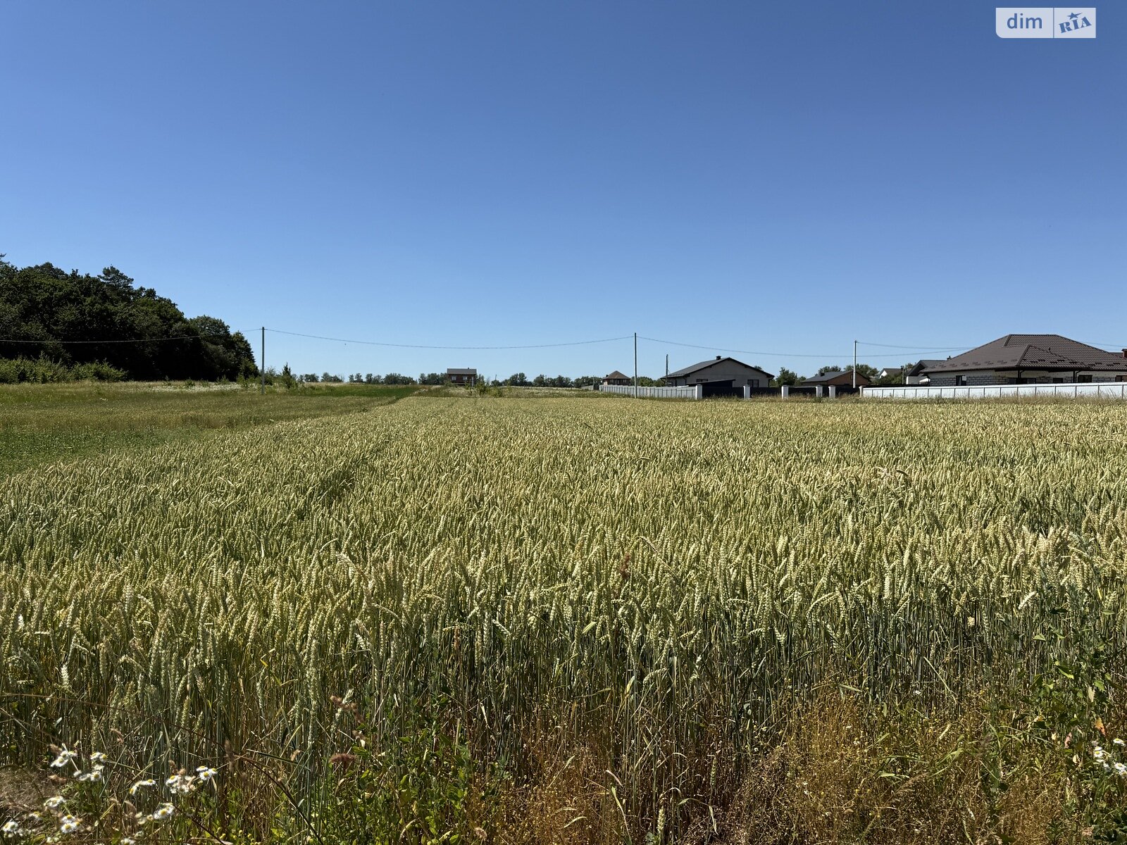 Земельный участок сельскохозяйственного назначения в Бохониках, площадь 20 соток фото 1 Земельный участок сельскохозяйственного назначения в Бохониках, площадь 20 соток фото 1