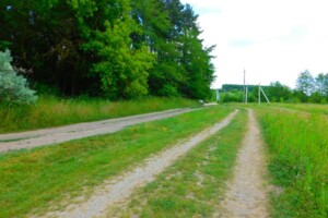 Земельна ділянка сільськогосподарського призначення в Бохониках, площа 102 сотки фото 2