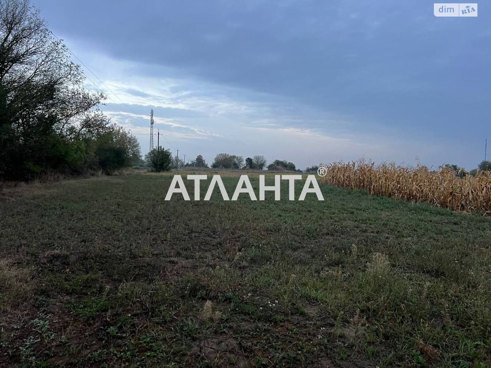 Земельна ділянка сільськогосподарського призначення в Бохониках, площа 10 соток фото 1 Земельна ділянка сільськогосподарського призначення в Бохониках, площа 10 соток фото 1