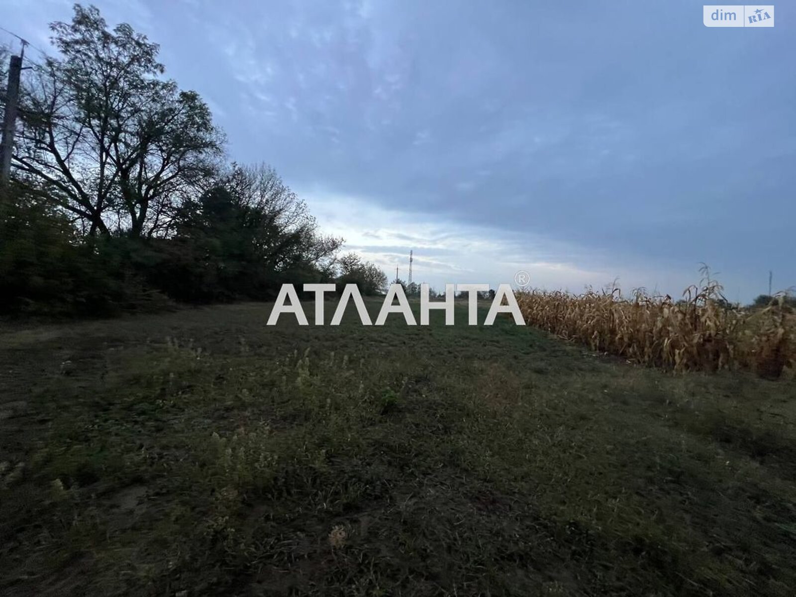 Земельна ділянка сільськогосподарського призначення в Бохониках, площа 10 соток фото 1 Земельна ділянка сільськогосподарського призначення в Бохониках, площа 10 соток фото 1