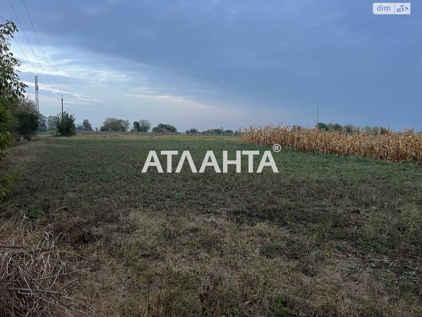 Земельна ділянка сільськогосподарського призначення в Бохониках, площа 10 соток фото 1 Земельна ділянка сільськогосподарського призначення в Бохониках, площа 10 соток фото 1