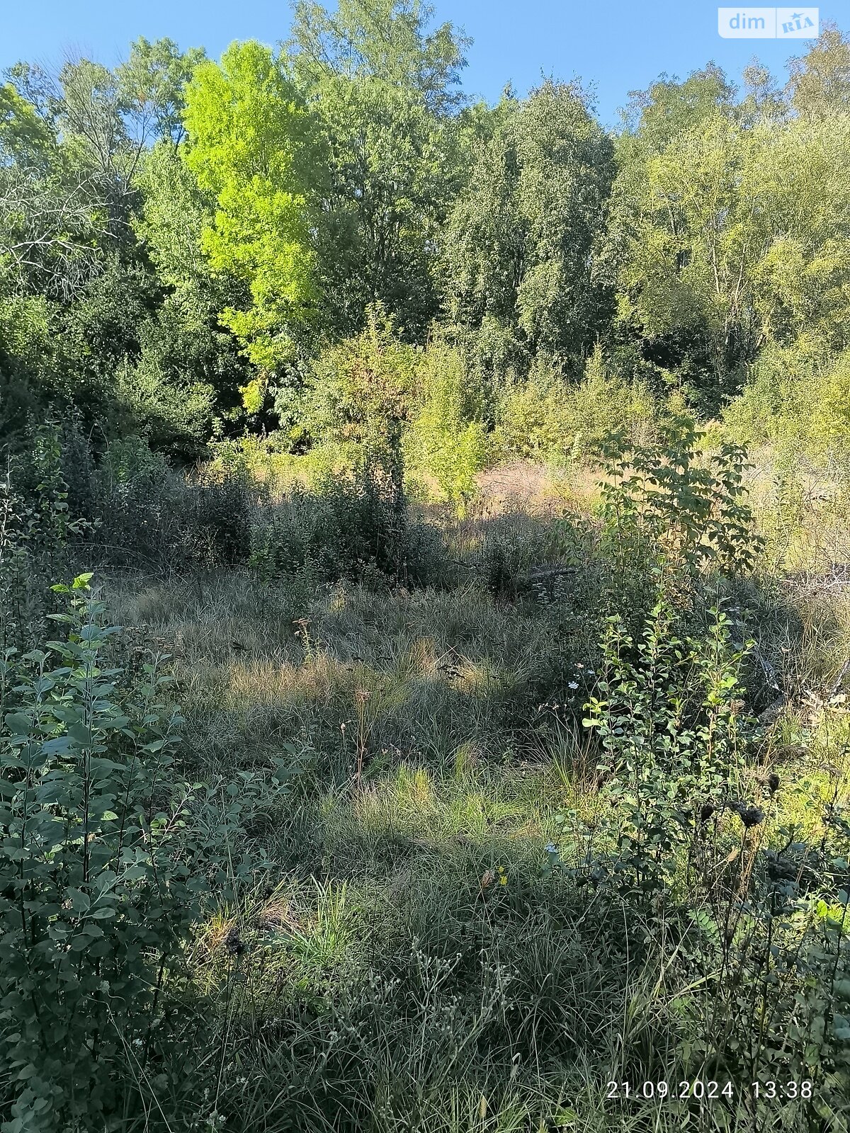 Земельна ділянка сільськогосподарського призначення в Бохониках, площа 6 соток фото 1 Земельна ділянка сільськогосподарського призначення в Бохониках, площа 6 соток фото 1