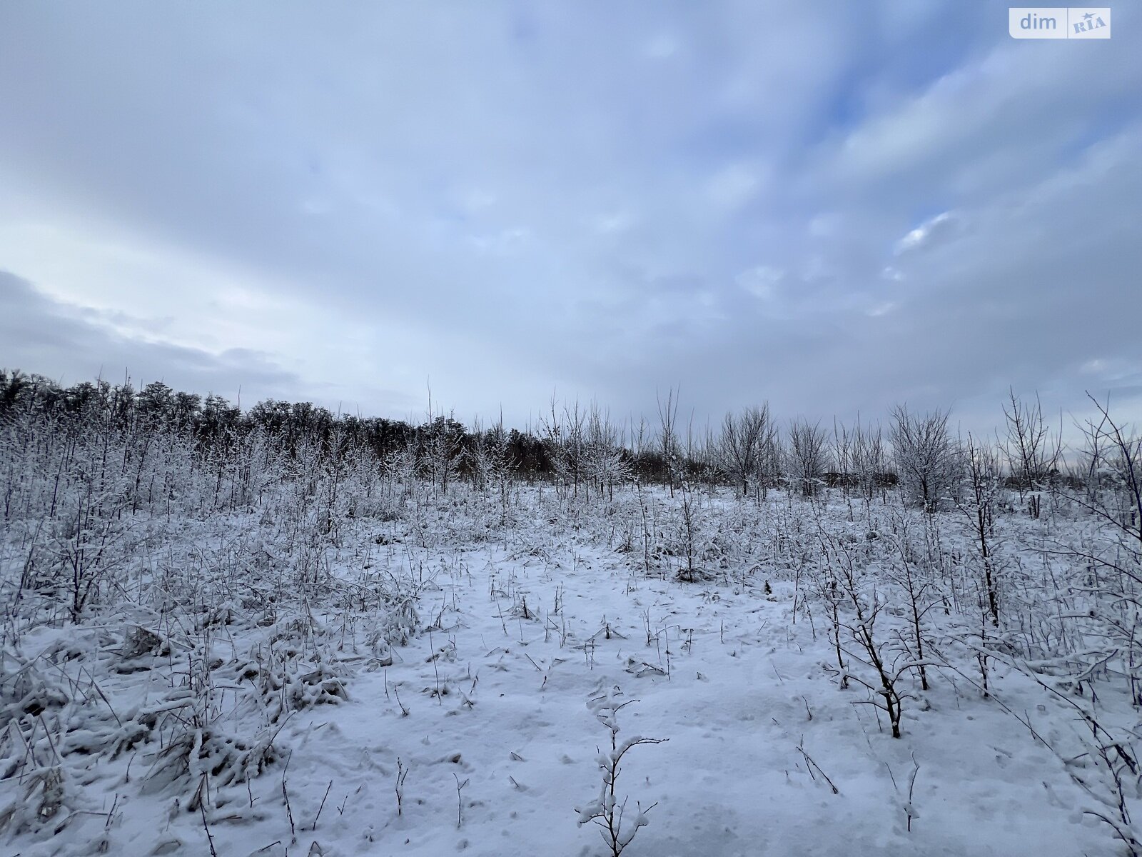 Земельна ділянка сільськогосподарського призначення в Бохониках, площа 8 соток фото 1 Земельна ділянка сільськогосподарського призначення в Бохониках, площа 8 соток фото 1