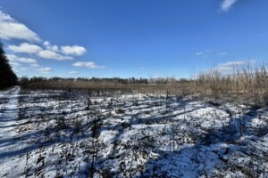 Земельна ділянка сільськогосподарського призначення в Бохониках, площа 8 соток фото 2