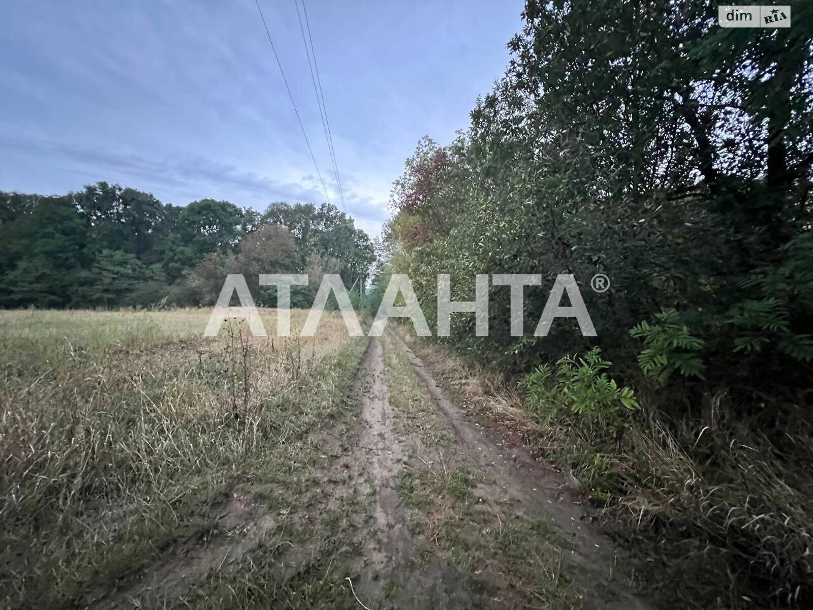Земельна ділянка сільськогосподарського призначення в Бохониках, площа 10 соток фото 1 Земельна ділянка сільськогосподарського призначення в Бохониках, площа 10 соток фото 1