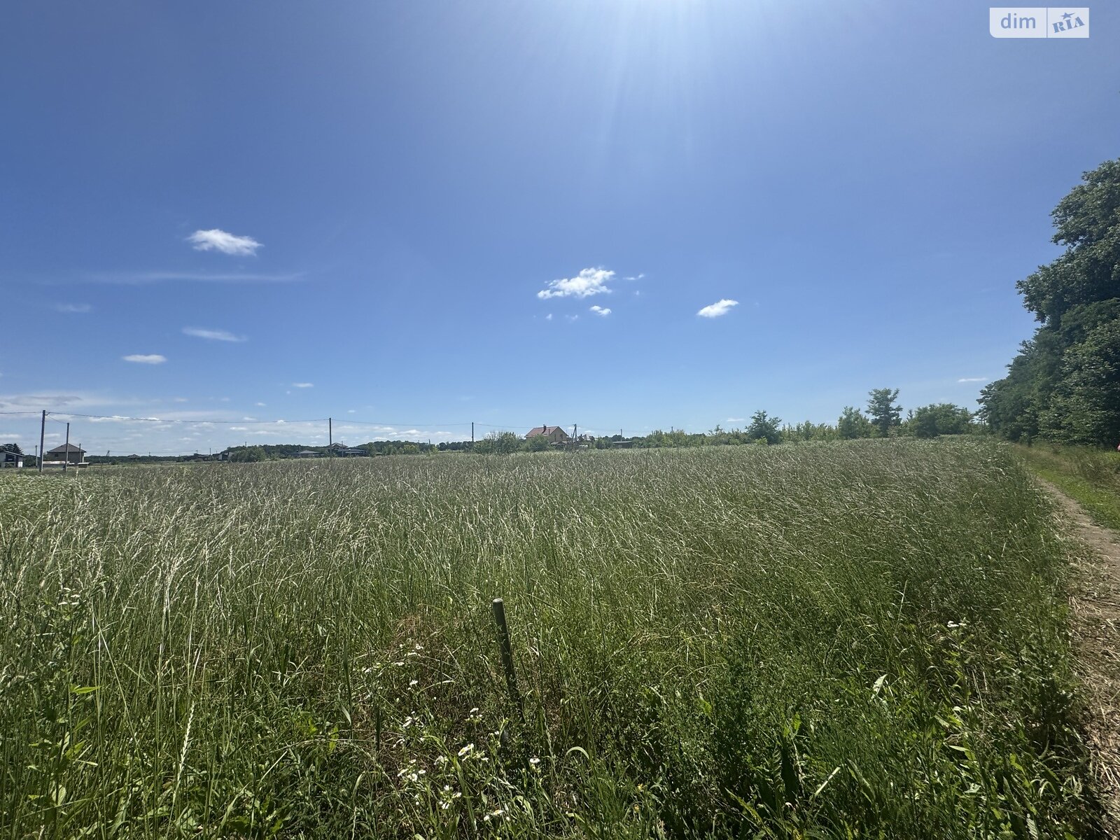 Земельна ділянка сільськогосподарського призначення в Бохониках, площа 6 соток фото 1 Земельна ділянка сільськогосподарського призначення в Бохониках, площа 6 соток фото 1