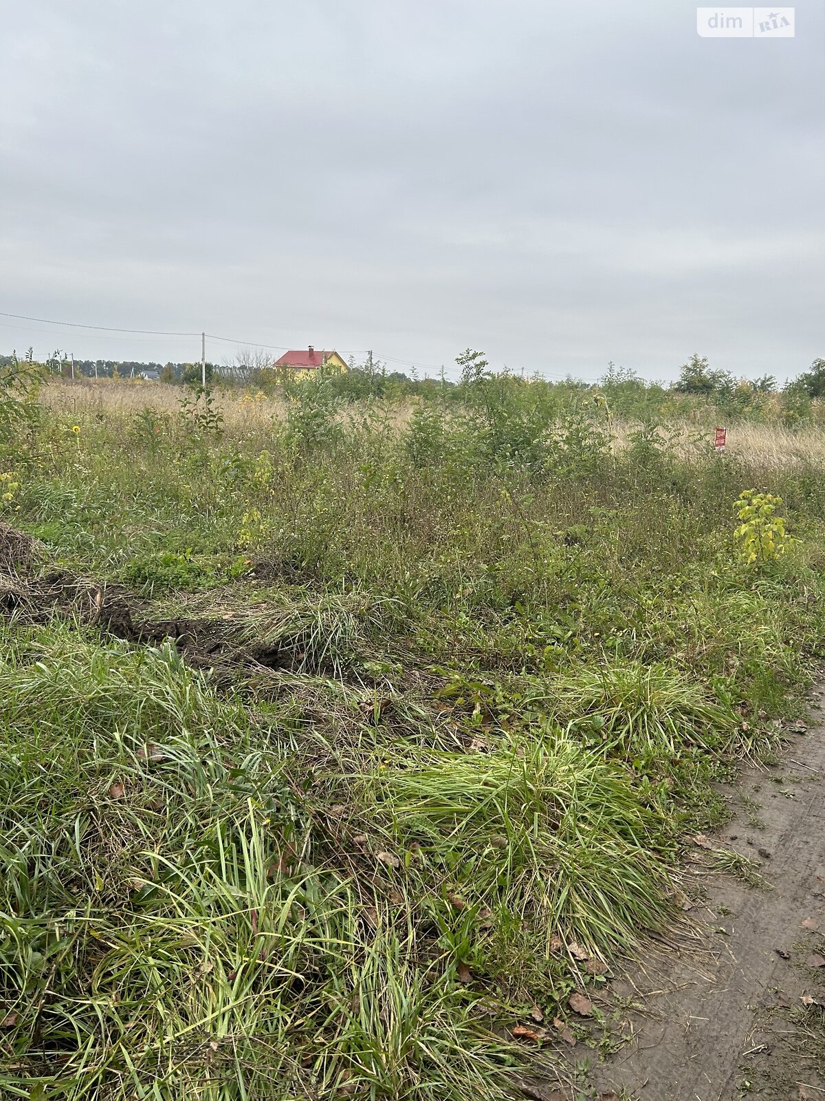 Земельный участок сельскохозяйственного назначения в Бохониках, площадь 6 соток фото 1 Земельный участок сельскохозяйственного назначения в Бохониках, площадь 6 соток фото 1