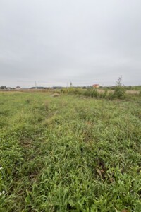 Земельна ділянка сільськогосподарського призначення в Бохониках, площа 6 соток фото 1