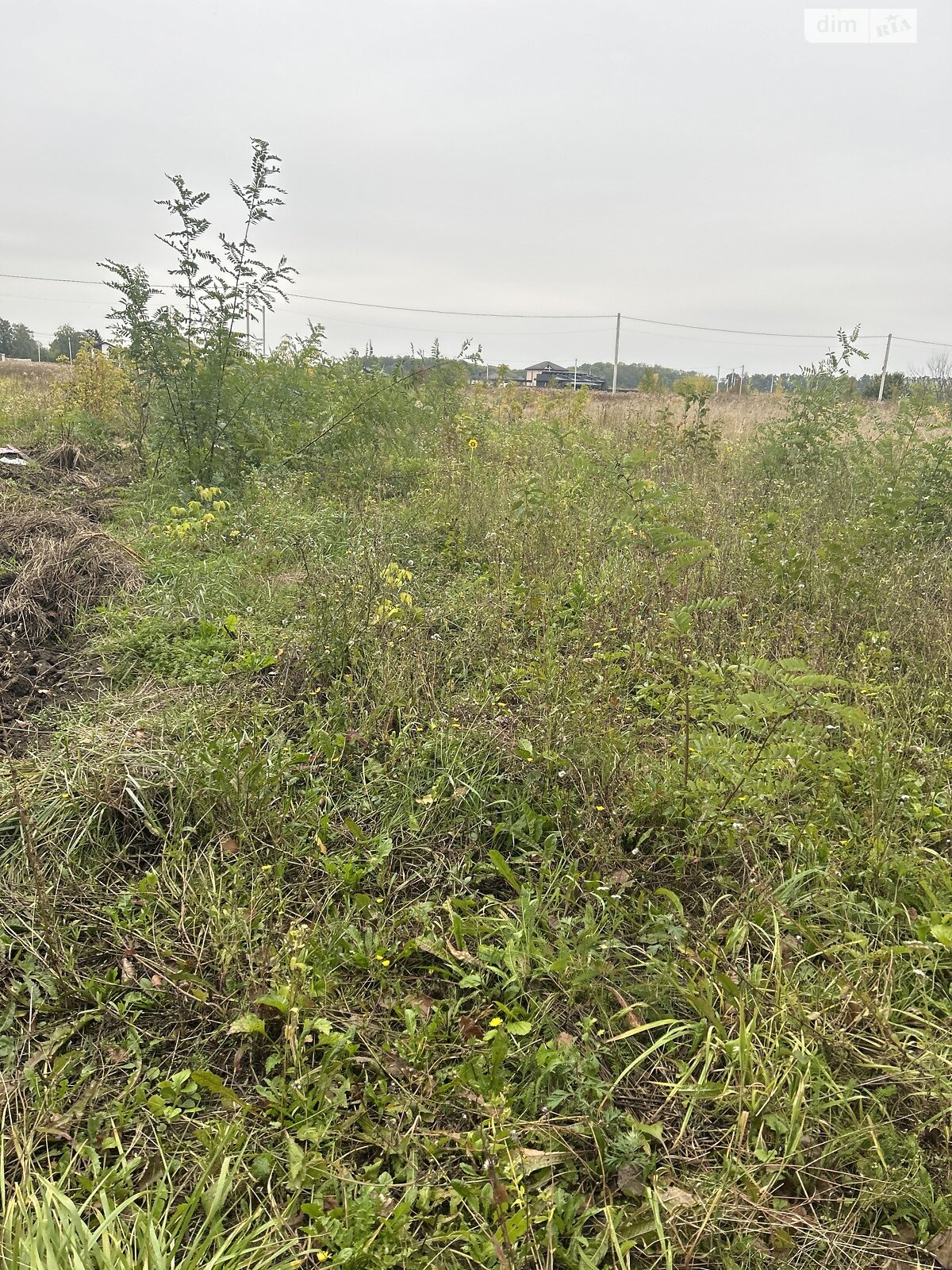 Земельна ділянка сільськогосподарського призначення в Бохониках, площа 6 соток фото 1 Земельна ділянка сільськогосподарського призначення в Бохониках, площа 6 соток фото 1