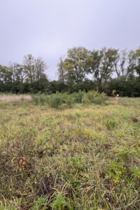 Земельна ділянка сільськогосподарського призначення в Бохониках, площа 6 соток фото 1 Земельна ділянка сільськогосподарського призначення в Бохониках, площа 6 соток фото 1