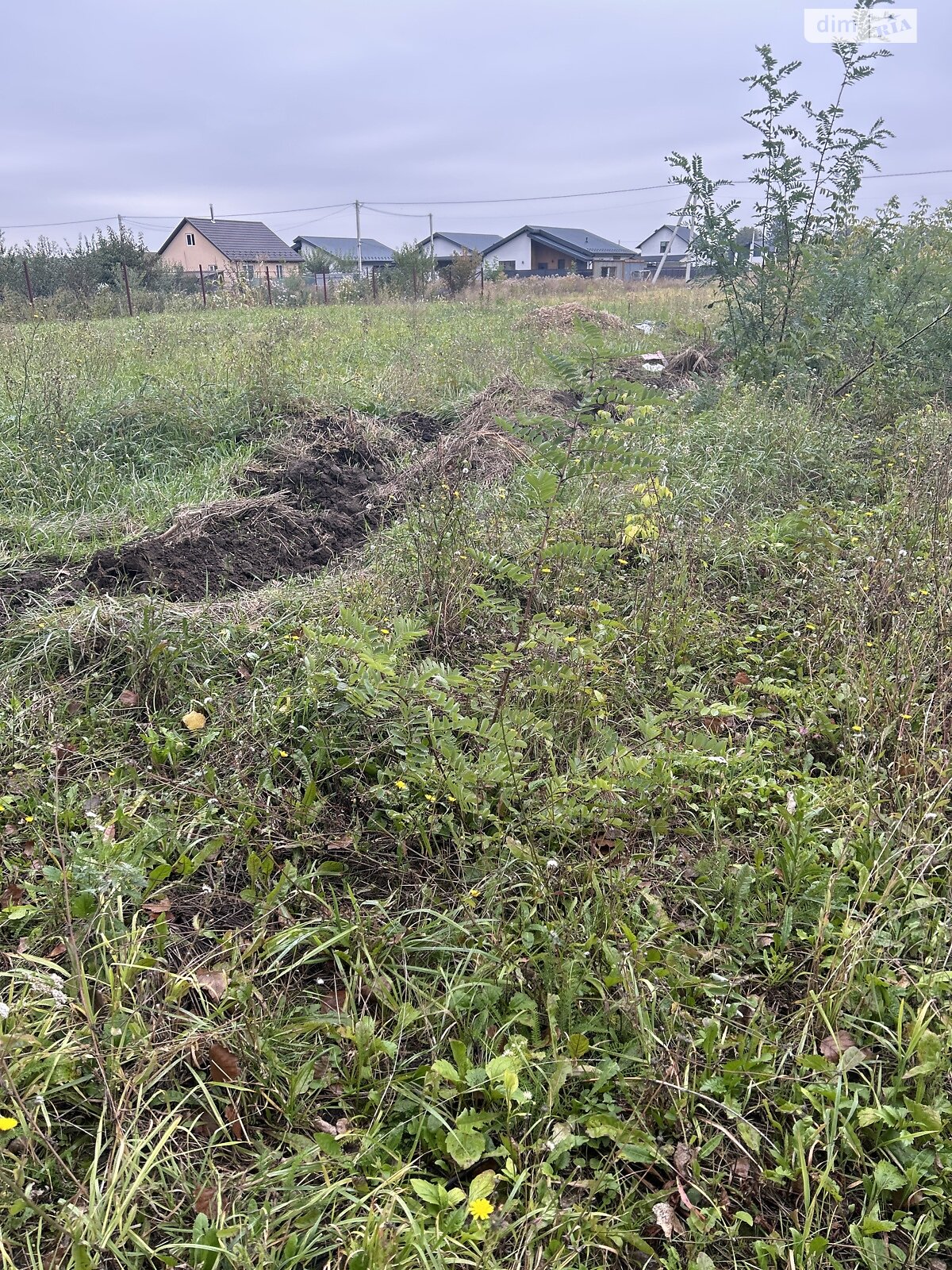 Земельна ділянка сільськогосподарського призначення в Бохониках, площа 6 соток фото 1 Земельна ділянка сільськогосподарського призначення в Бохониках, площа 6 соток фото 1