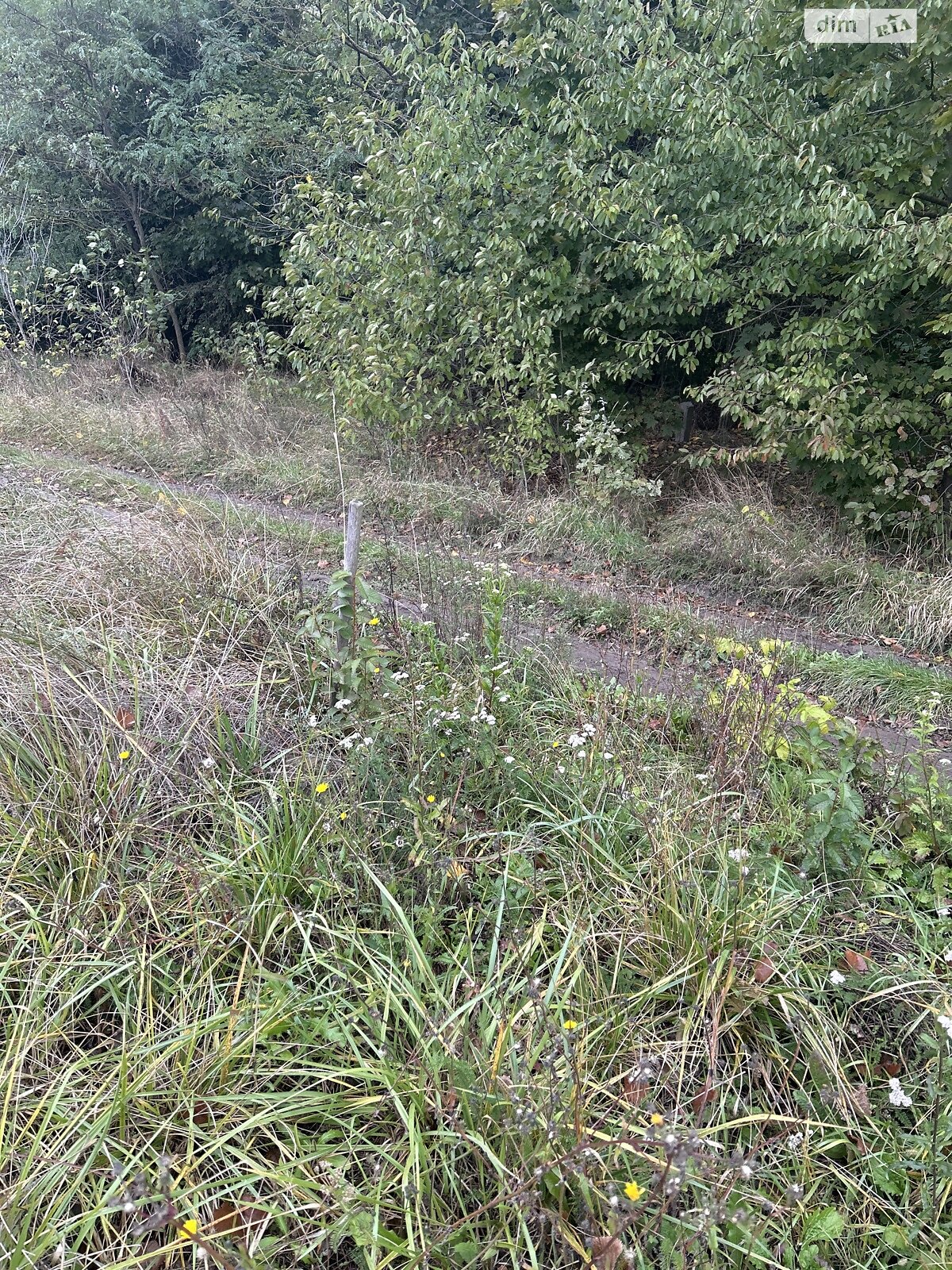 Земельна ділянка сільськогосподарського призначення в Бохониках, площа 6 соток фото 1