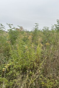 Земельна ділянка сільськогосподарського призначення в Бохониках, площа 6 соток фото 1 Земельна ділянка сільськогосподарського призначення в Бохониках, площа 6 соток фото 1