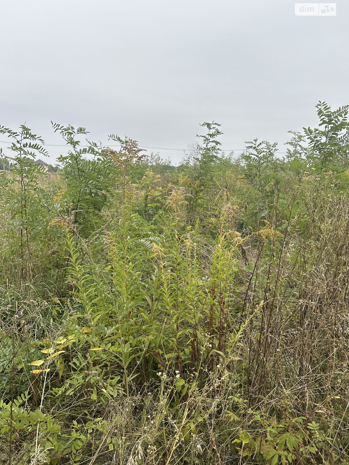 Земельна ділянка сільськогосподарського призначення в Бохониках, площа 6 соток фото 1 Земельна ділянка сільськогосподарського призначення в Бохониках, площа 6 соток фото 1