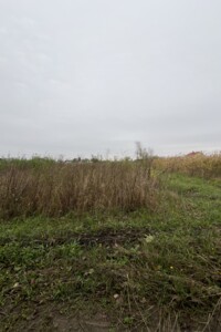 Земельна ділянка сільськогосподарського призначення в Бохониках, площа 6 соток фото 1