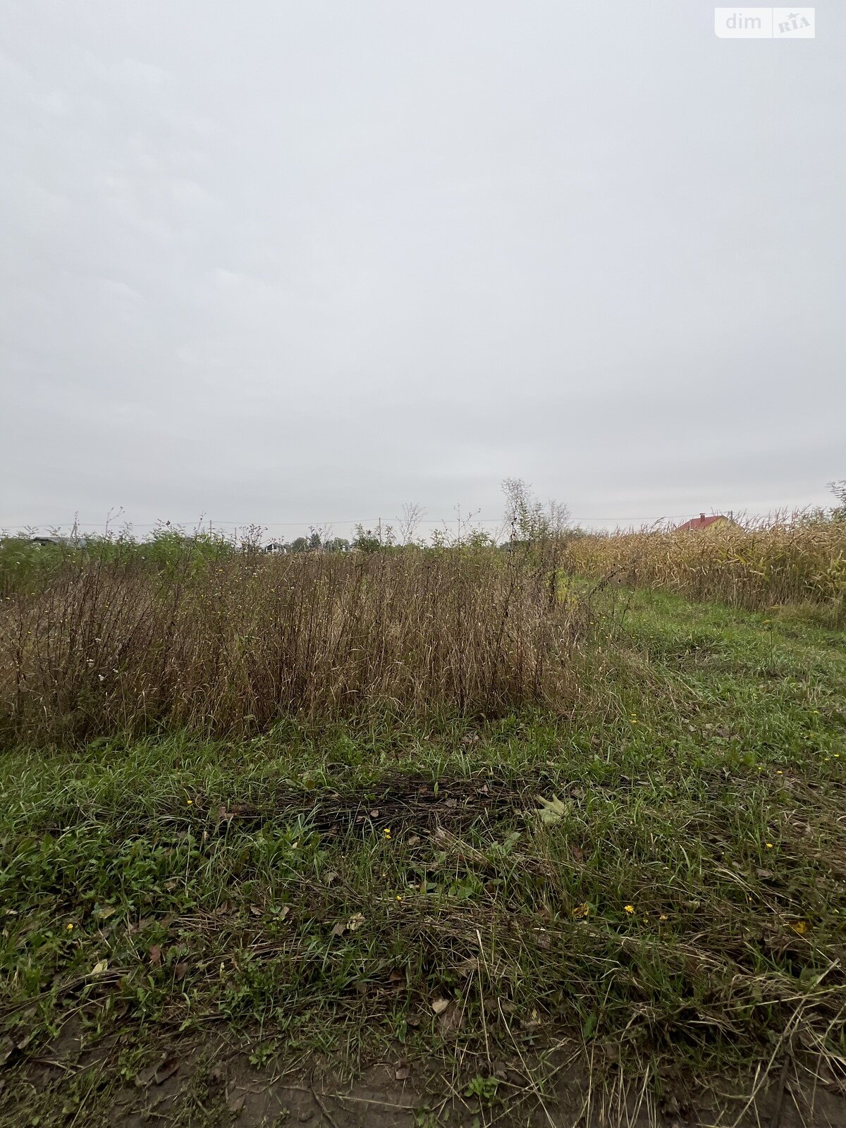 Земельна ділянка сільськогосподарського призначення в Бохониках, площа 6 соток фото 1