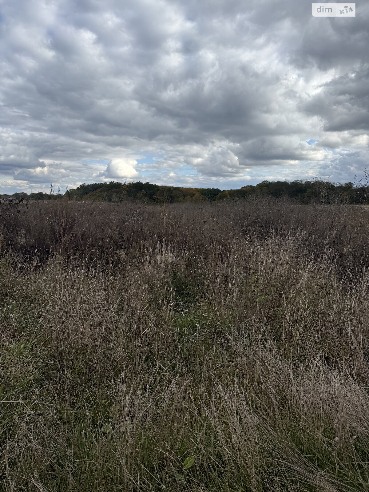 Земельна ділянка сільськогосподарського призначення в Бохониках, площа 8 соток фото 1