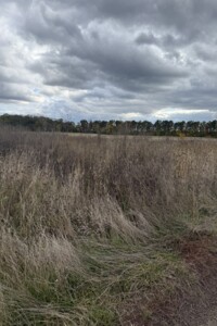 Земельна ділянка сільськогосподарського призначення в Бохониках, площа 8 соток фото 2