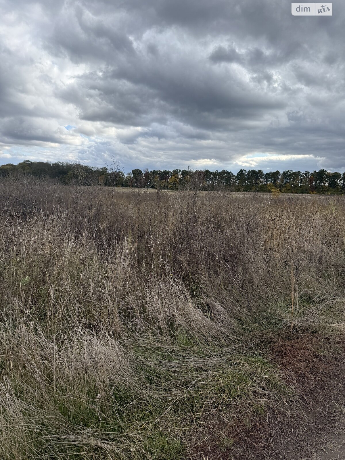 Земельна ділянка сільськогосподарського призначення в Бохониках, площа 8 соток фото 1