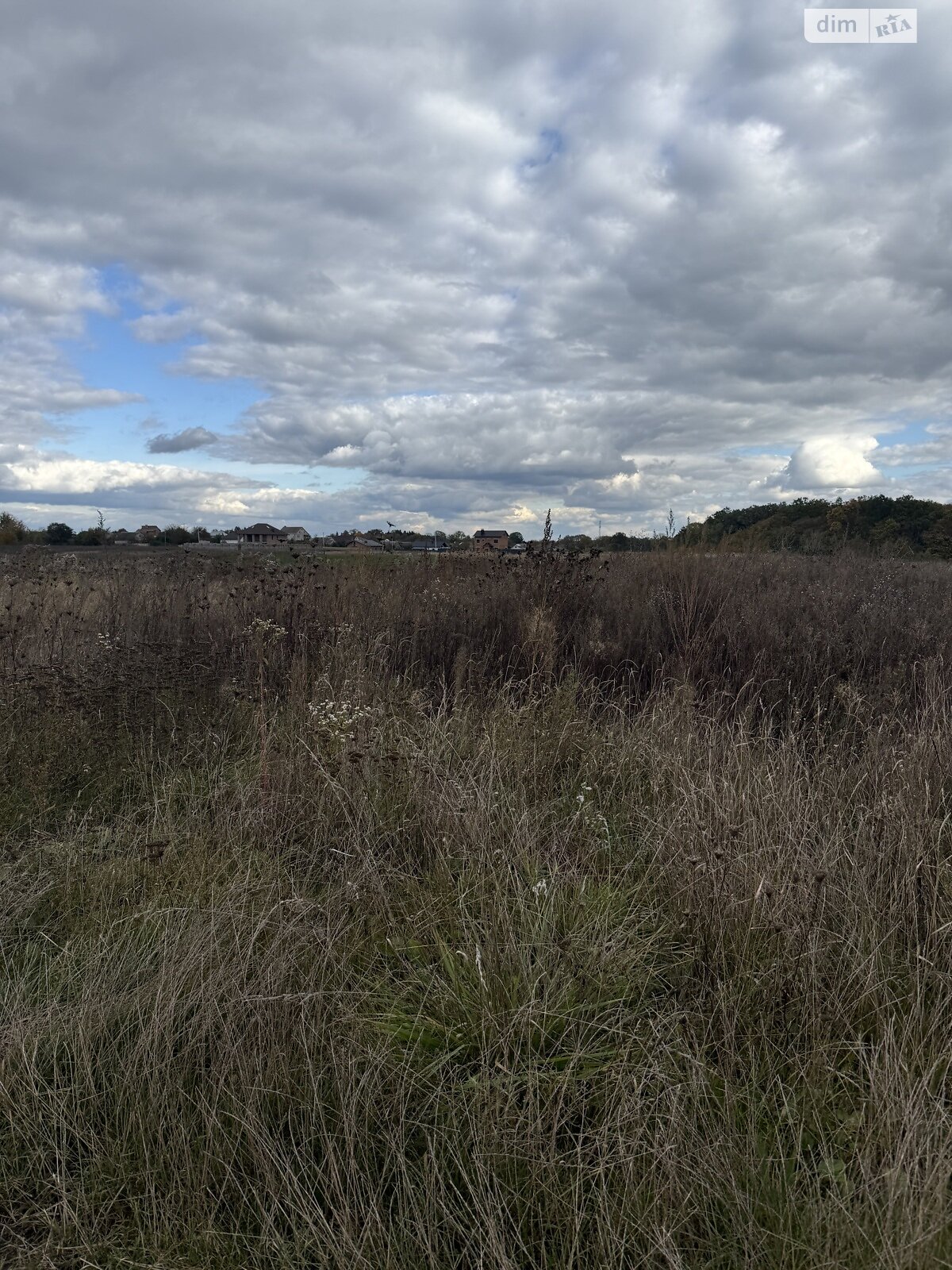 Земельна ділянка сільськогосподарського призначення в Бохониках, площа 8 соток фото 1