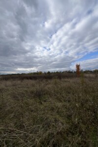 Земельна ділянка сільськогосподарського призначення в Бохониках, площа 8 соток фото 1