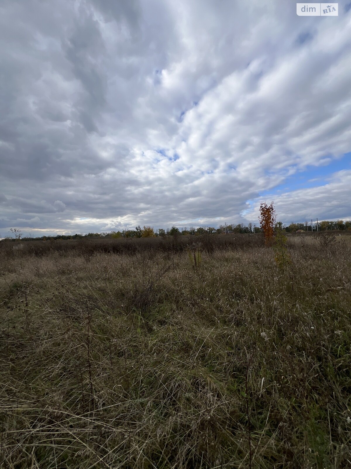 Земельна ділянка сільськогосподарського призначення в Бохониках, площа 8 соток фото 1